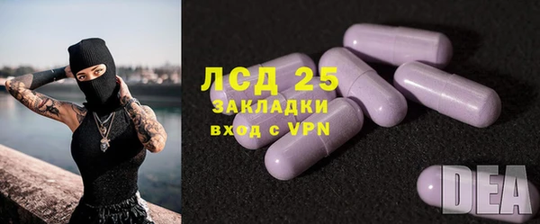 ГАЛЛЮЦИНОГЕННЫЕ ГРИБЫ Алзамай