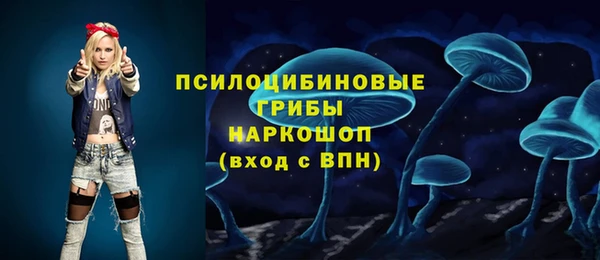 хмурый Алексеевка