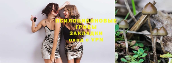 ГАЛЛЮЦИНОГЕННЫЕ ГРИБЫ Алзамай