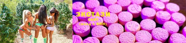 хмурый Алексеевка