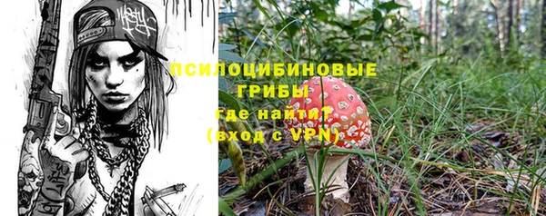 хмурый Алексеевка