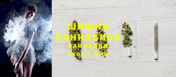 ГАЛЛЮЦИНОГЕННЫЕ ГРИБЫ Алзамай