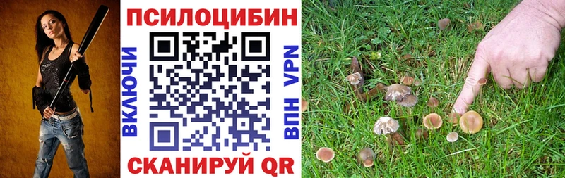 Псилоцибиновые грибы мухоморы  закладки  Дмитров 