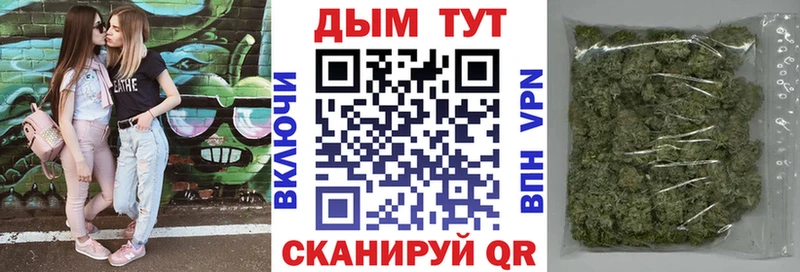 купить наркоту  Дмитров  Шишки марихуана White Widow 